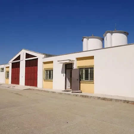 Apartment Sleeps 2 Pool Wifi T764327 Montescaglioso
